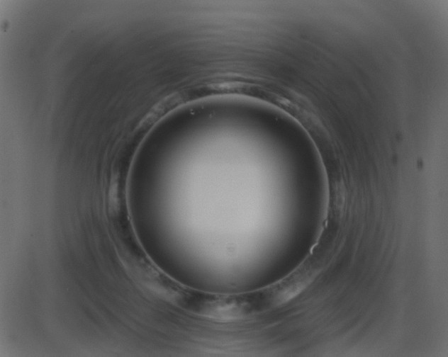 X0000086270267200704051317