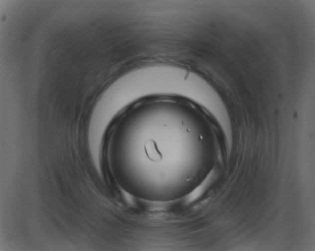 X0000086270268200704051317