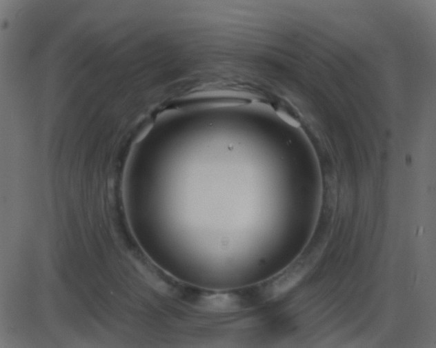 X0000086270269200704051317