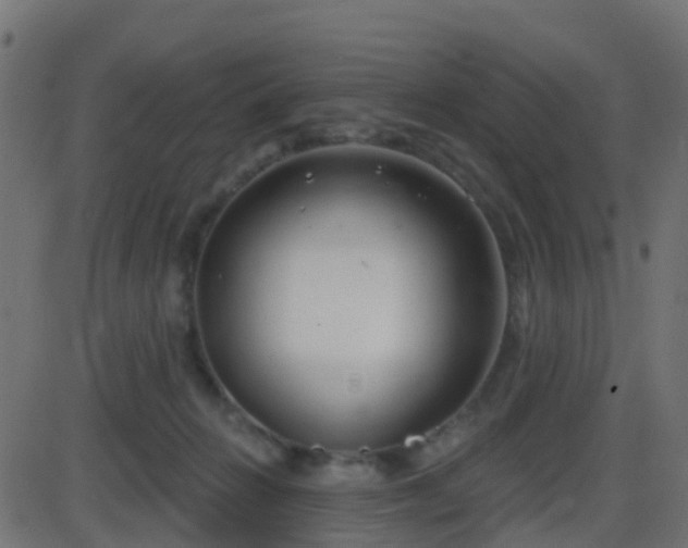 X0000086270270200704051317