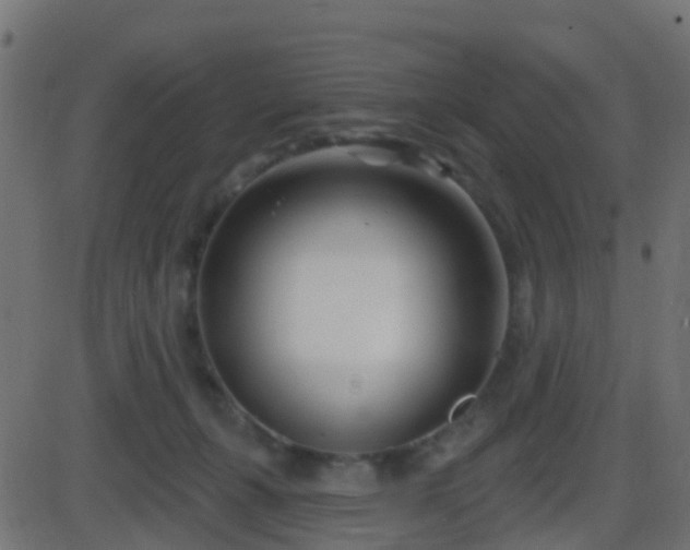 X0000086270271200704051317