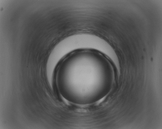 X0000086270272200704051317