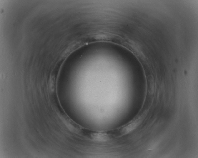 X0000086270273200704051317