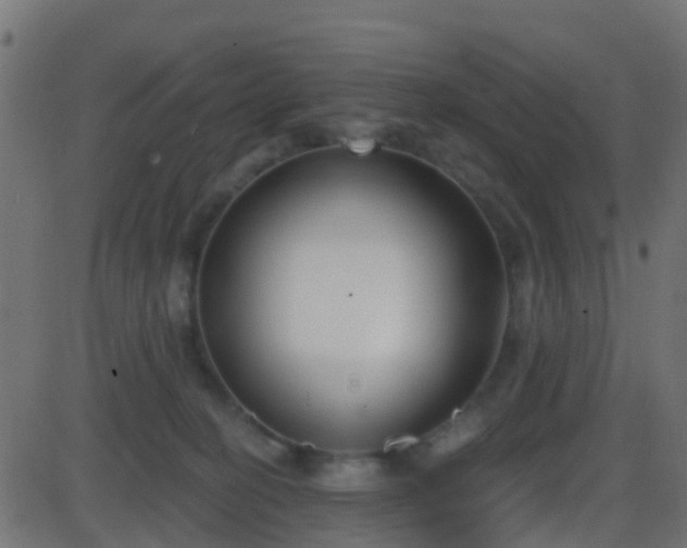 X0000086270274200704051317