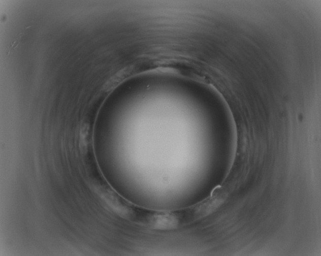 X0000086270275200704051317