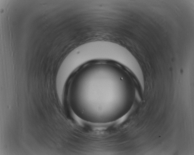 X0000086270276200704051317