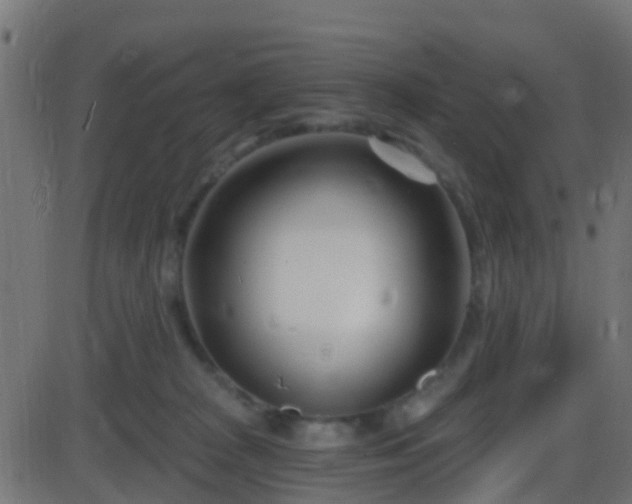 X0000086270277200704051317