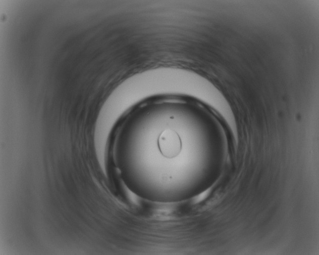 X0000086270280200704051317