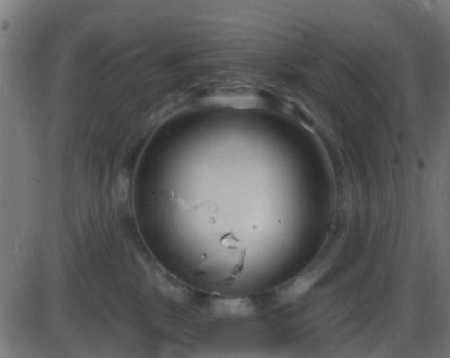 X0000086270281200704051317