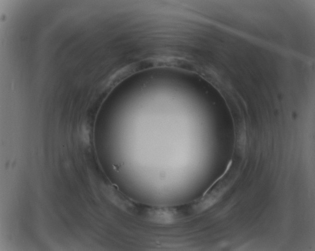 X0000086270282200704051317