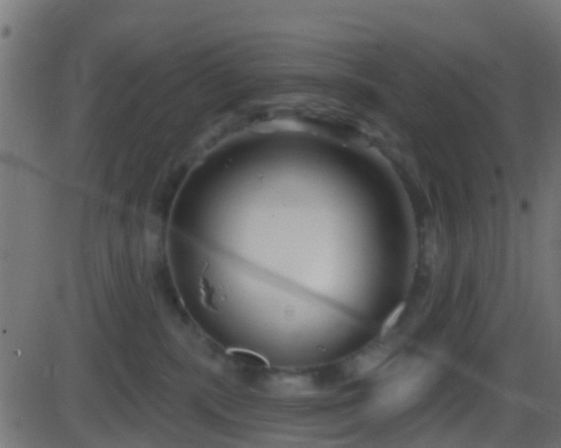 X0000086270283200704051317