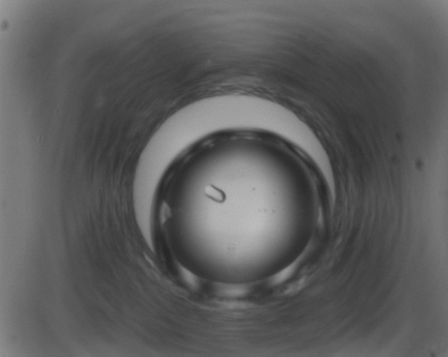 X0000086270284200704051317