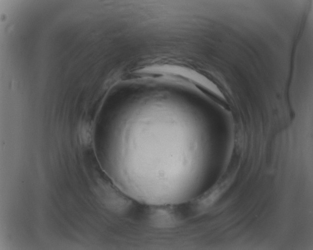 X0000086270285200704051317