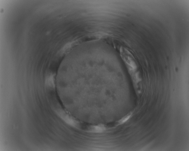 X0000086270286200704051317