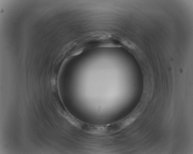 X0000086270288200704051317