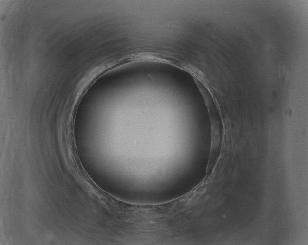 X0000086270289200704051316