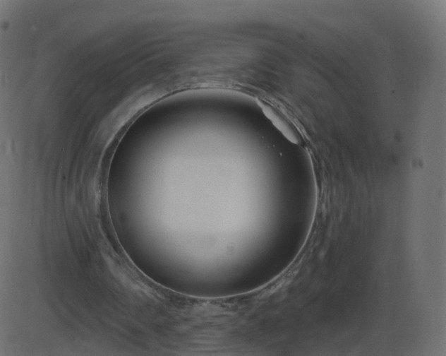 X0000086270290200704051316