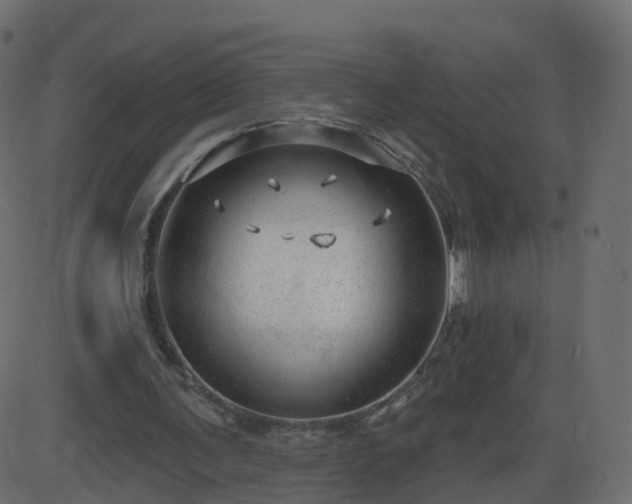 X0000086270291200704051316