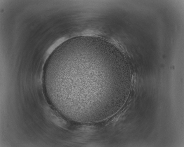 X0000086270292200704051316