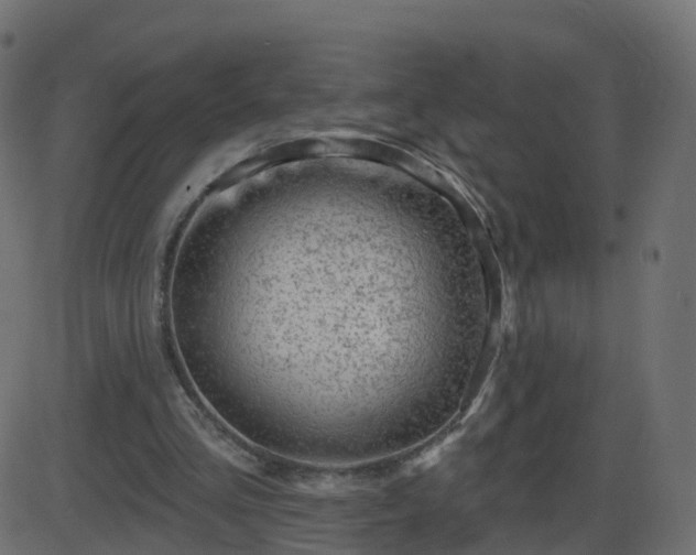 X0000086270293200704051316