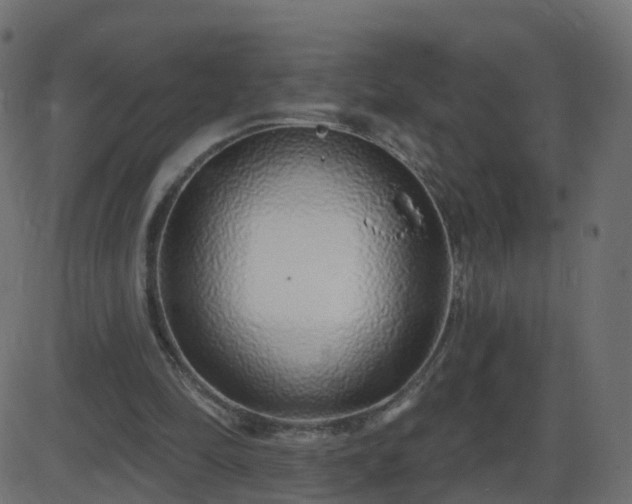 X0000086270294200704051316