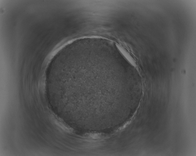 X0000086270295200704051316