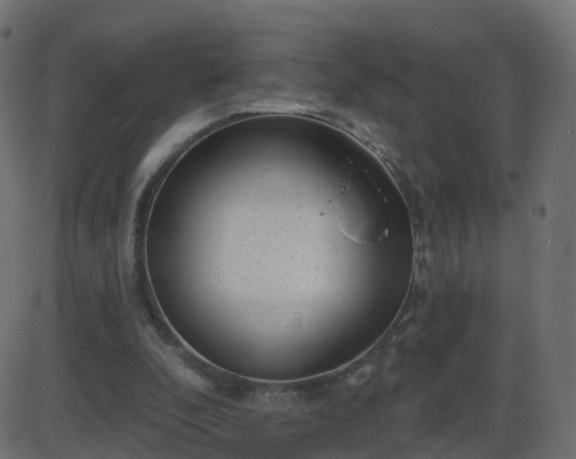 X0000086270296200704051316