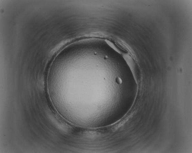 X0000086270298200704051316