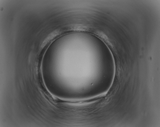 X0000086270299200704051316