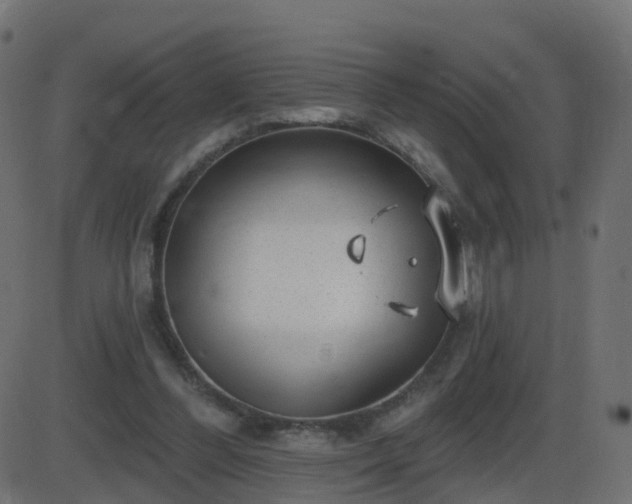 X0000086270300200704051316