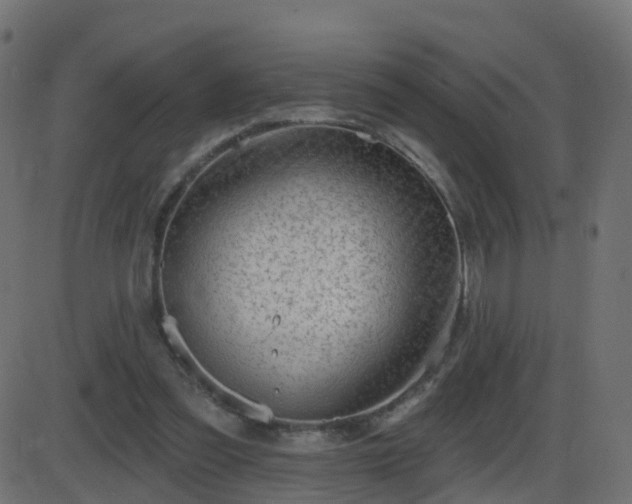 X0000086270301200704051316