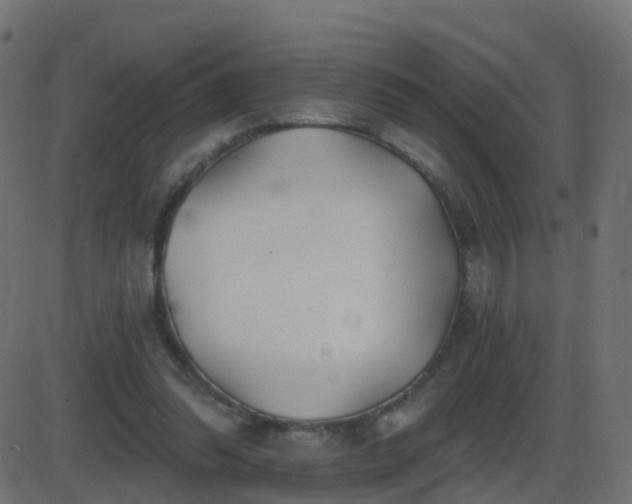 X0000086270302200704051316