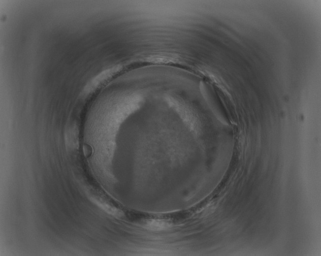 X0000086270303200704051316