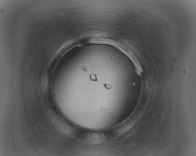 X0000086270304200704051316