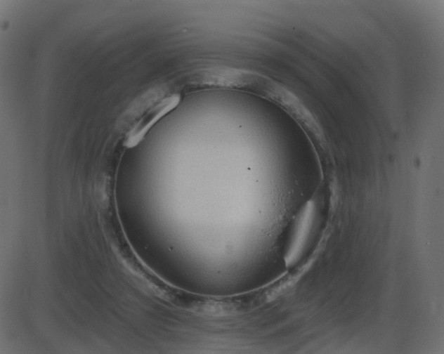 X0000086270305200704051316