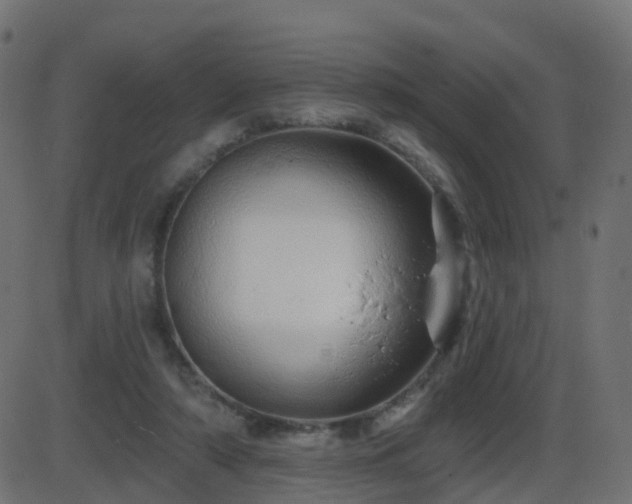 X0000086270306200704051316