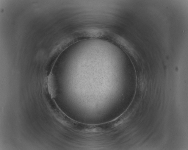 X0000086270307200704051316