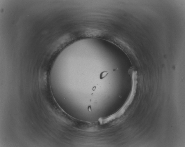 X0000086270308200704051316