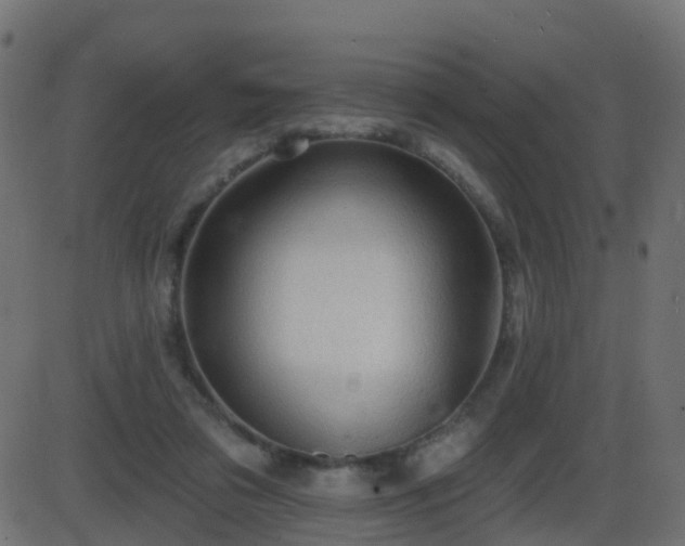 X0000086270309200704051316