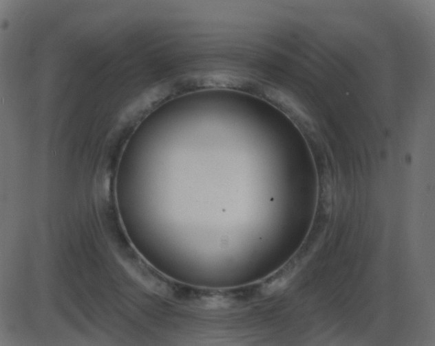 X0000086270310200704051316