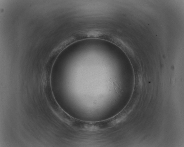 X0000086270311200704051316