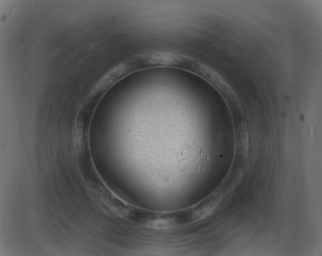 X0000086270312200704051316