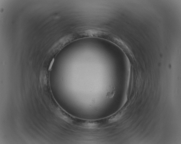 X0000086270313200704051316