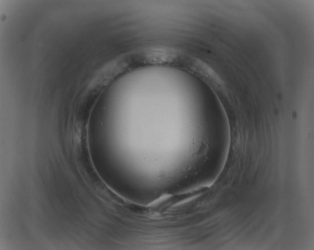 X0000086270315200704051316