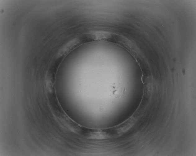 X0000086270316200704051316