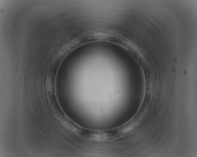 X0000086270317200704051316