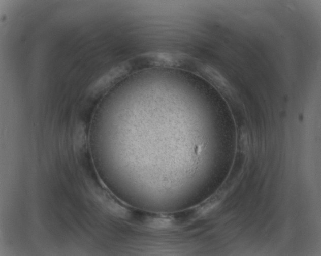 X0000086270318200704051316