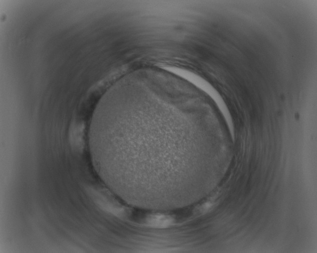 X0000086270319200704051316