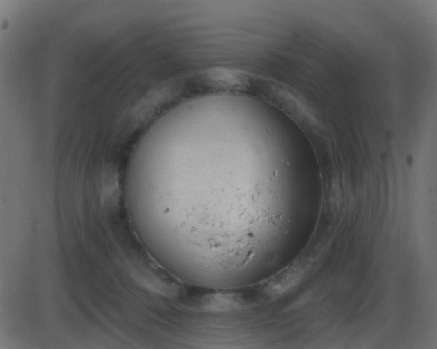 X0000086270320200704051316