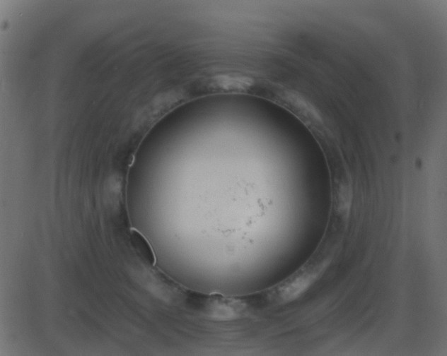 X0000086270321200704051316